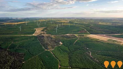 AI impression: Forest Wind Farm, Energy