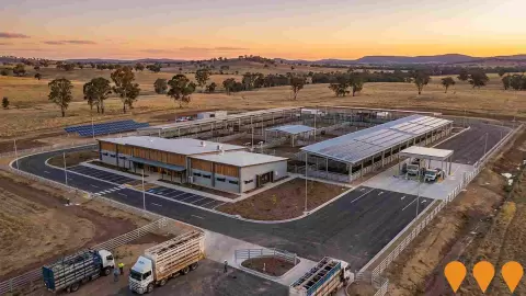 AI impression: Gunnedah Regional Saleyards Redevelopment, Agriculture & Rural Development