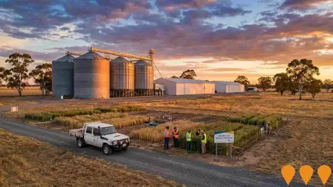 AI impression: Deniliquin Agricultural Research Facility, Science & Research