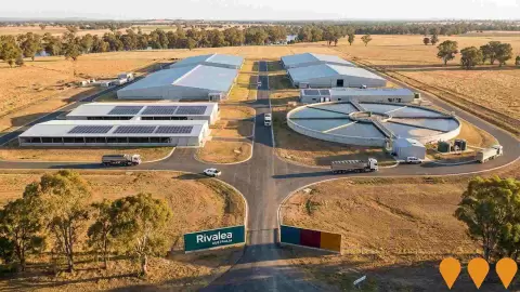 AI impression: JBS Rivalea Corowa Grower Farm, Agriculture & Rural Development