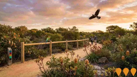AI impression: Star Swamp Bushland Reserve Conservation Upgrades, Environmental & Disaster Management