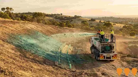AI impression: Flagstaff Hill Reserve Revegetation Project, Environmental & Disaster Management