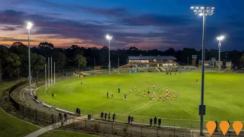 AI impression: Cole Reserve South Sports Field Lighting Upgrade, Sports & Recreation