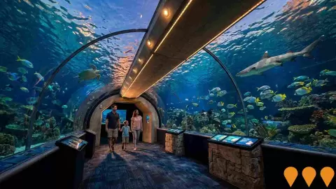 AI impression: Great Barrier Reef Aquarium Redevelopment, Tourism