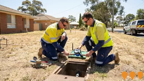 AI impression: Smart Water Meter Replacement Program, Environmental & Disaster Management