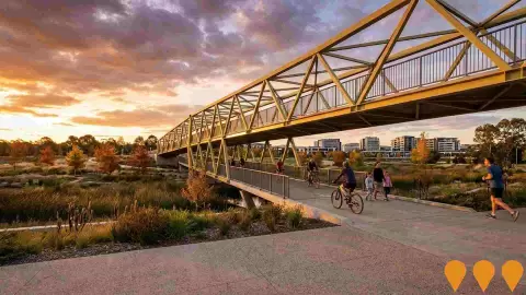 AI impression: Franklin Cycleway Extension, Sports & Recreation