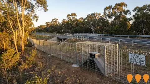 AI impression: Heathcote Road Koala Protection Fencing, Environmental & Disaster Management