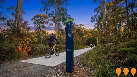 AI impression: Beecroft to Cheltenham Shared Pathway, Transport & Logistics