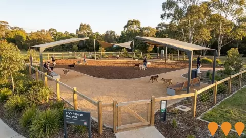 AI impression: Fry's Reserve Dog Park Improvements, Sports & Recreation