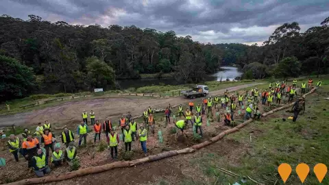 AI impression: Davidson Park Environmental Restoration, Environmental & Disaster Management