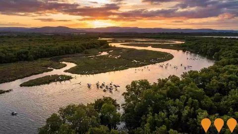AI impression: Hexham Swamp Rehabilitation Project, Environmental & Disaster Management