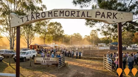 AI impression: Tiaro Bulls and Barrels Community Event, Sports & Recreation