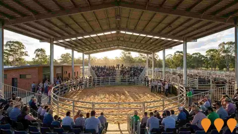AI impression: Kempsey Regional Saleyards Infrastructure Upgrade, Agriculture & Rural Development