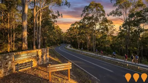 AI impression: Daisy Hill Koala Conservation Trails, Sports & Recreation