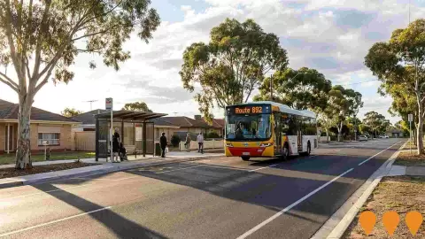 AI impression: Enhanced Bus Services Parafield Gardens, Transport & Logistics