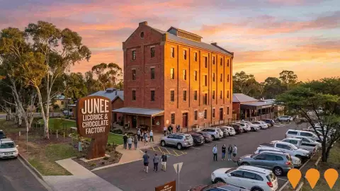 AI impression: Junee Licorice and Chocolate Factory Revamp, Manufacturing