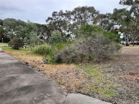 Project Image Project Image