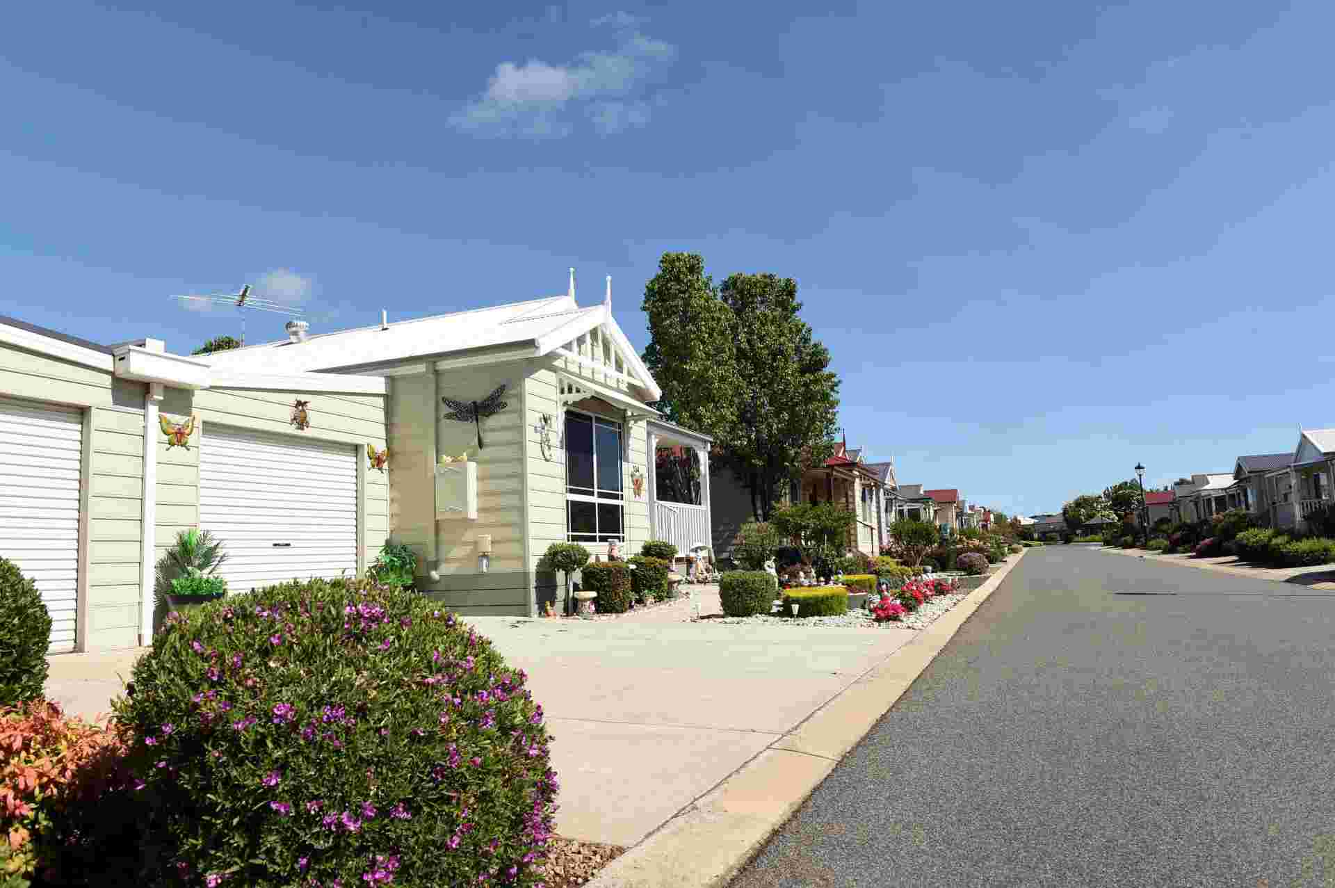 Project Image Project Image