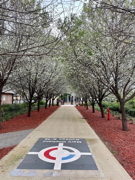 Project Image Project Image