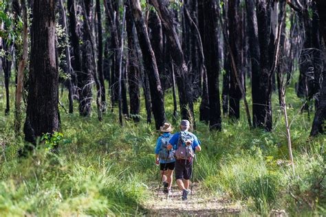 Project Image Project Image