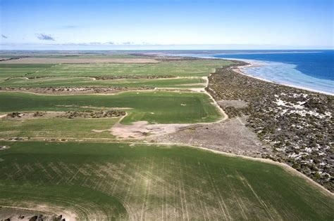 Project Image Project Image