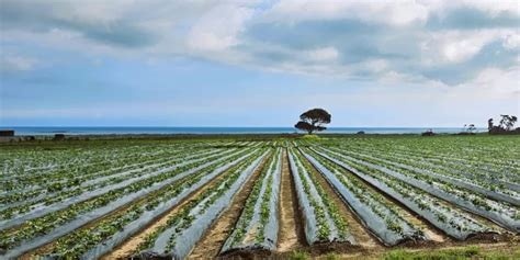 Project Image Project Image