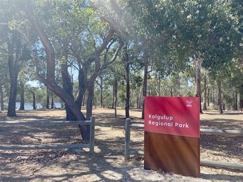 Project Image Project Image