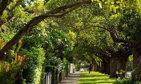 Project Image Project Image