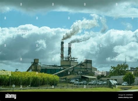 Project Image Project Image