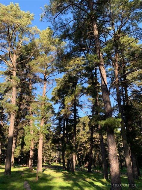 Project Image Project Image