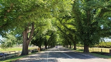 Project Image Project Image