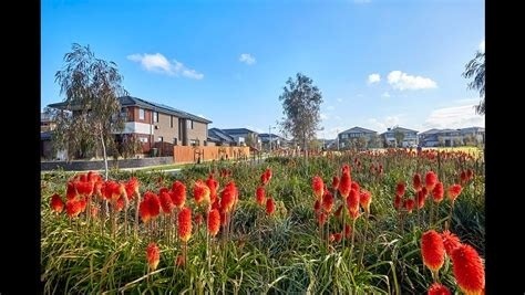 Project Image Project Image