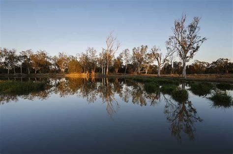 Project Image Project Image