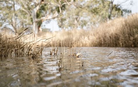 Project Image Project Image