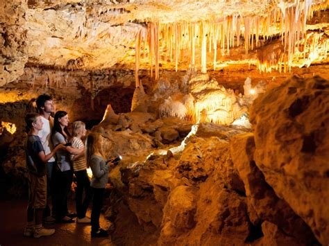 Project Image Project Image