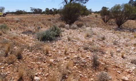 Project Image Project Image