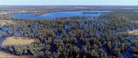 Project Image Project Image