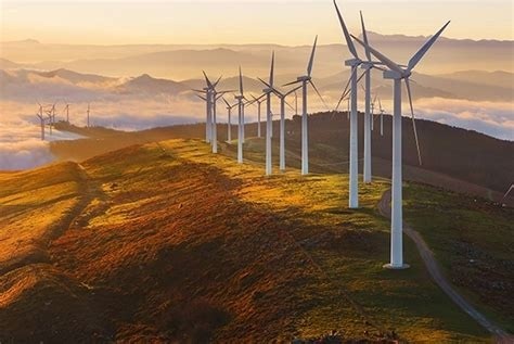 Project Image Project Image