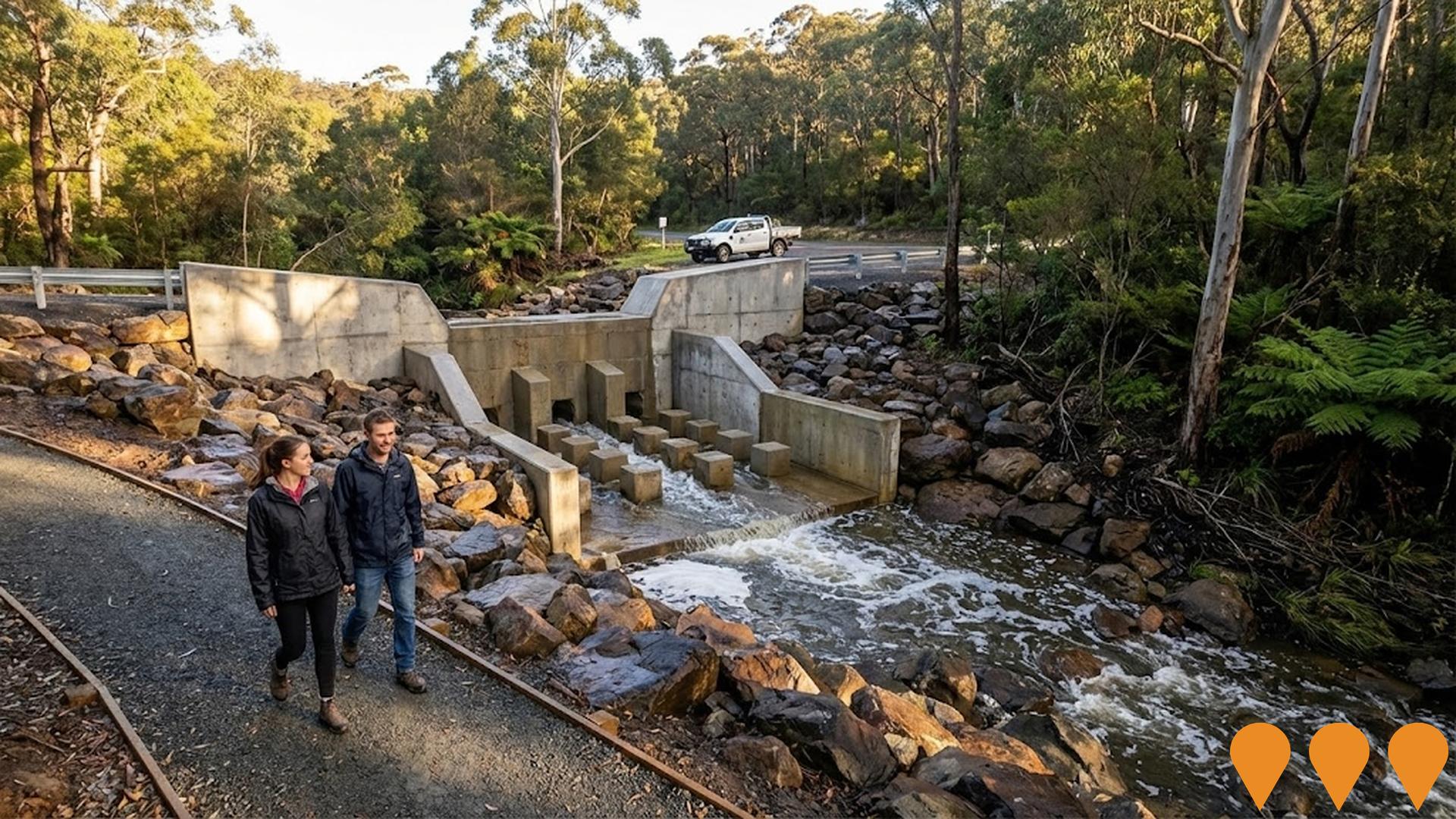 Environmental & Disaster Management