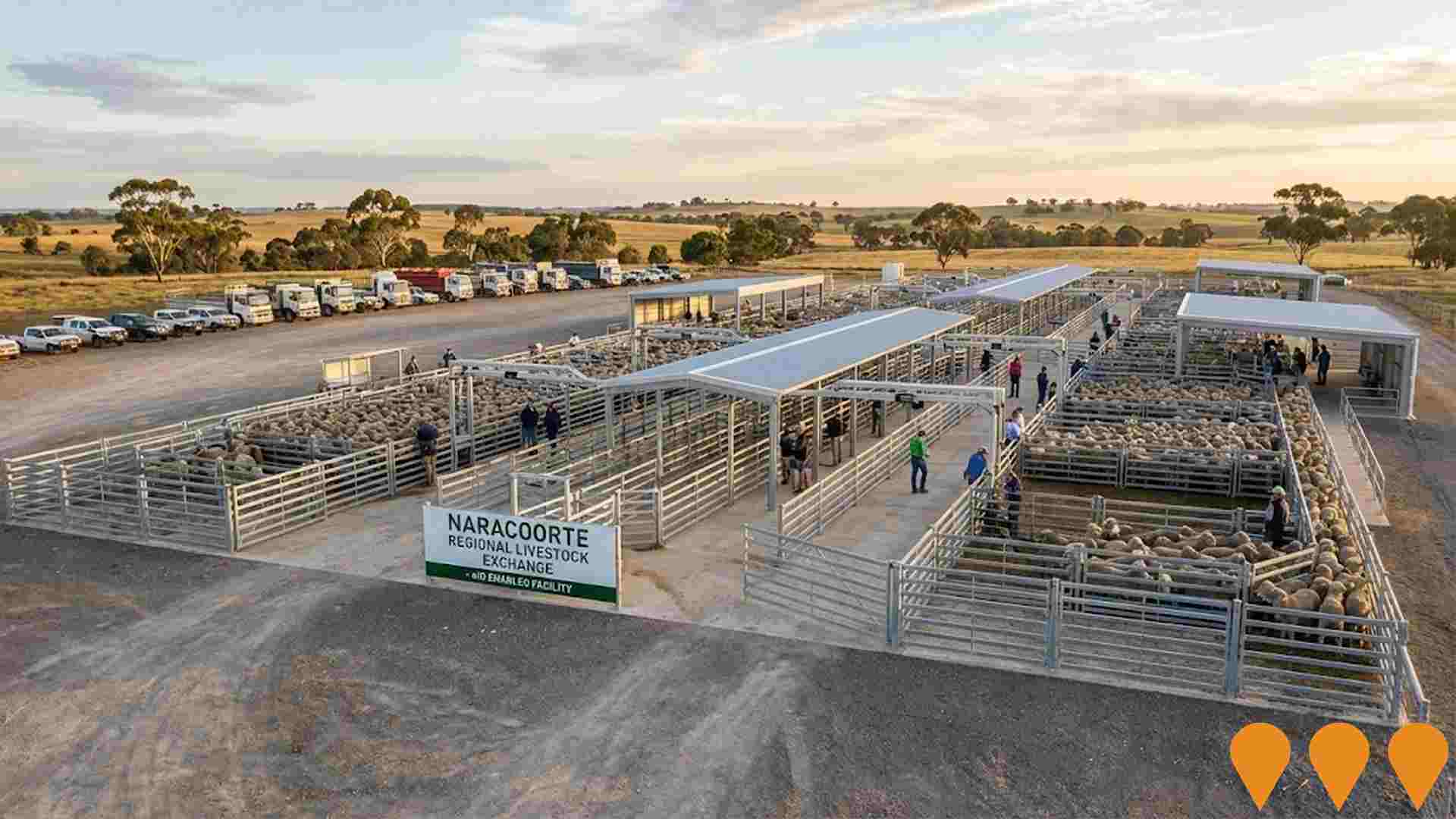 Agriculture & Rural Development