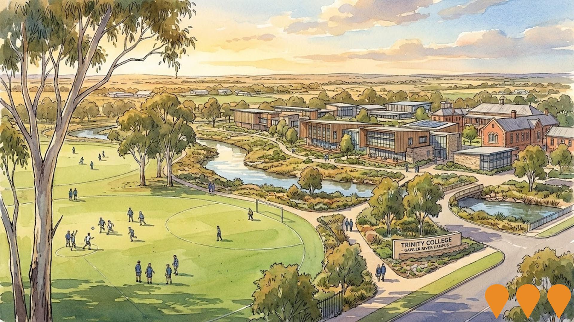 Education & Training