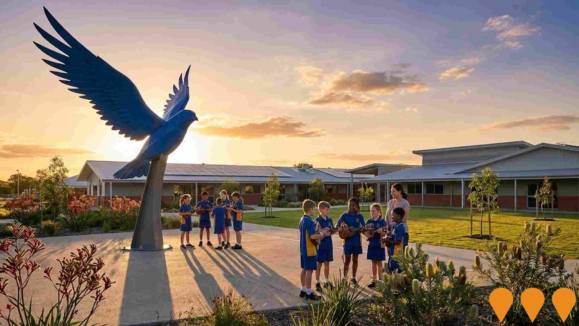 Education & Training