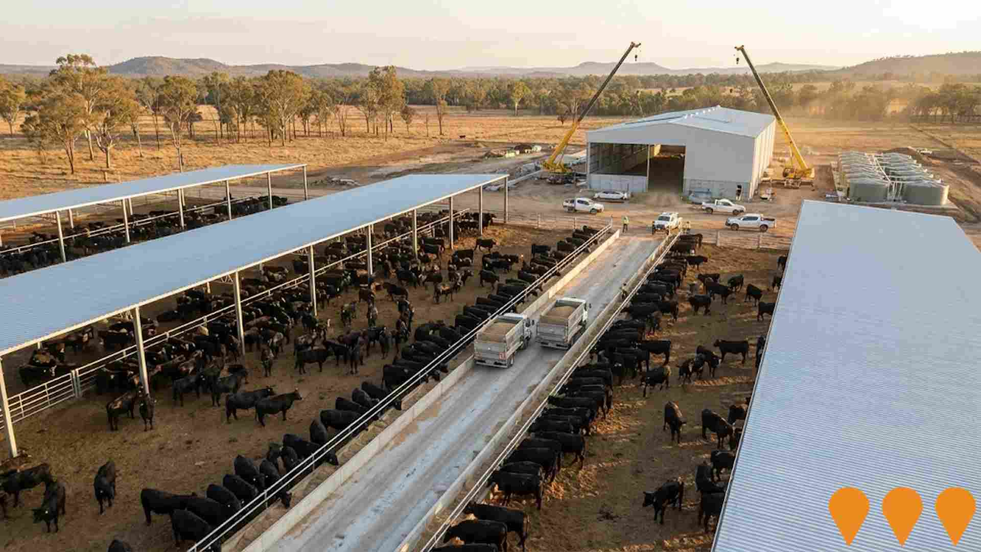 Agriculture & Rural Development