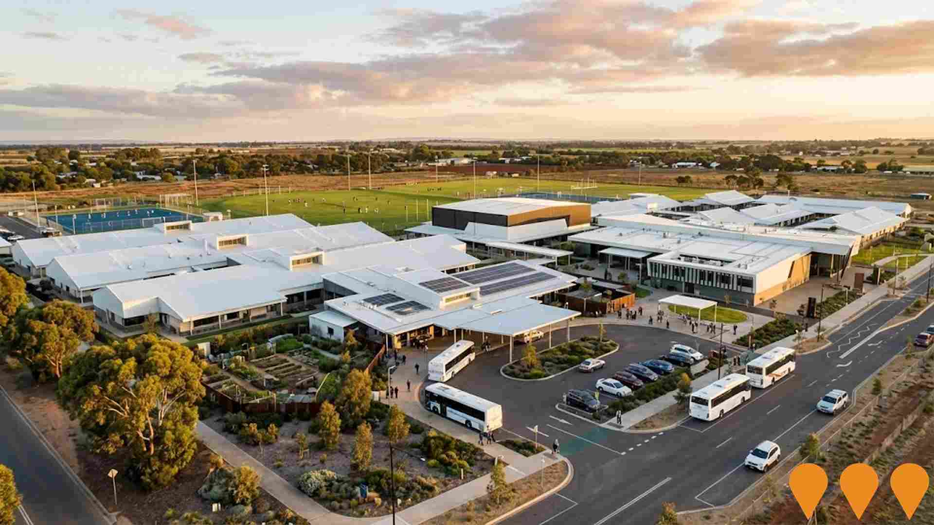 Education & Training