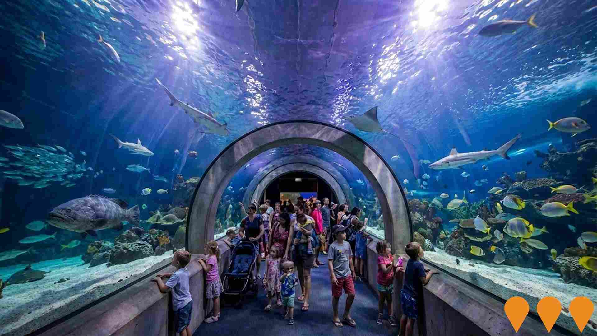 Tourism