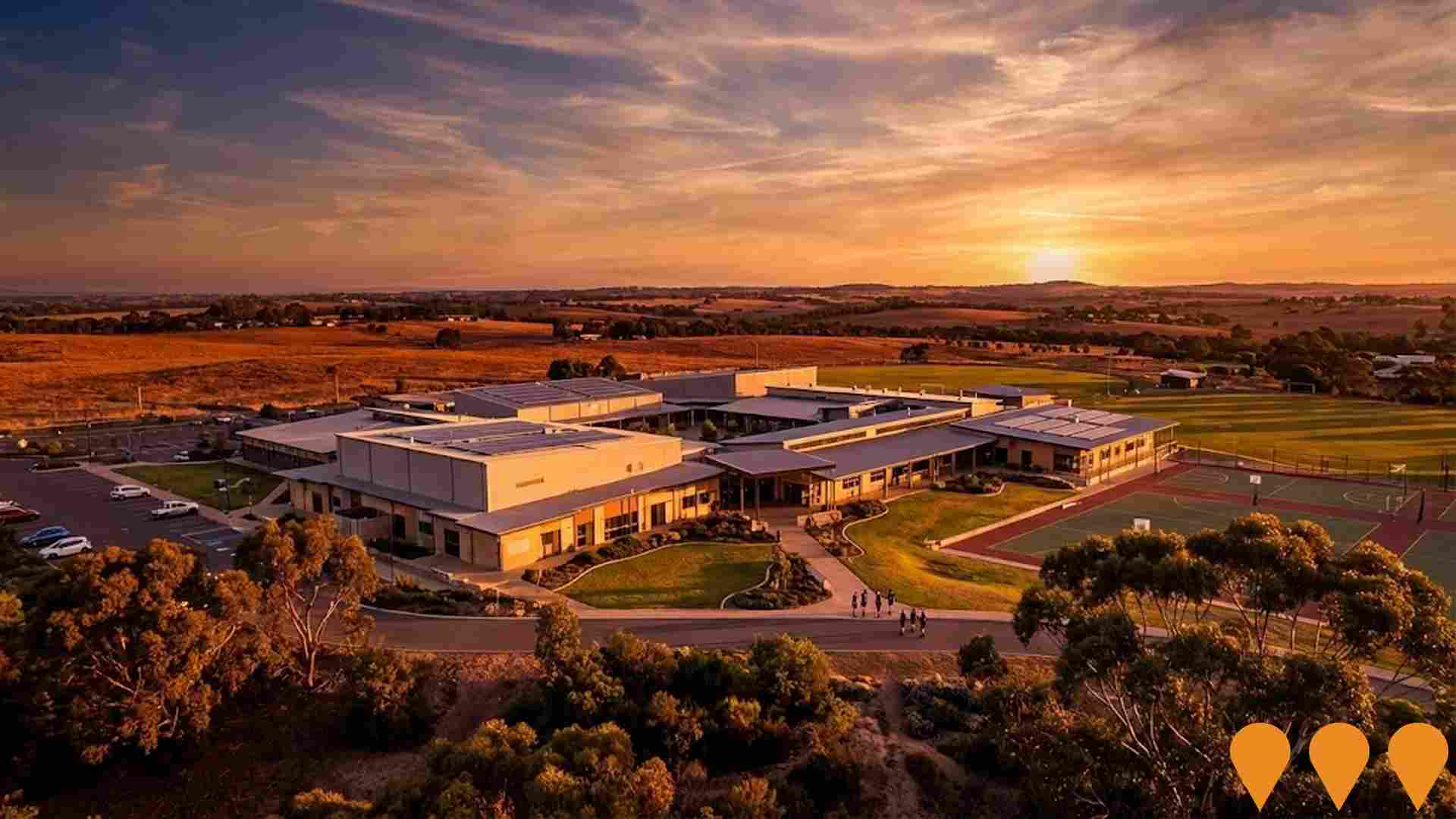 Education & Training